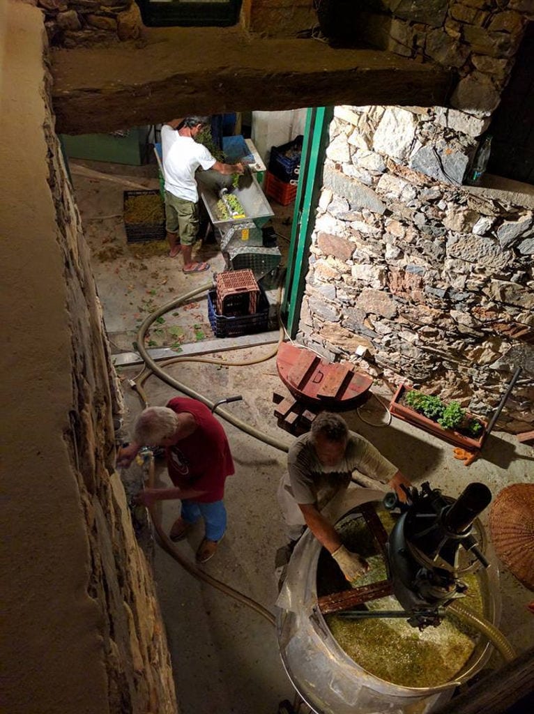 man selecting grapes and another two men working grape press machine at 'Manalis Winery' facilities